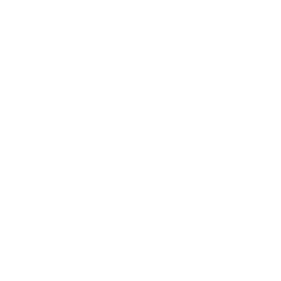 Zero Cost Processing